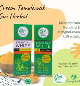 Gizi Herbal Day & Night Cream Temulawak